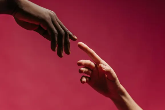 Rex Casino Assistance